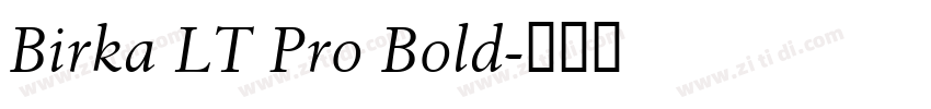 Birka LT Pro Bold字体转换